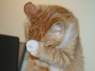 1476770614462150.png 猫咪洗脸.png