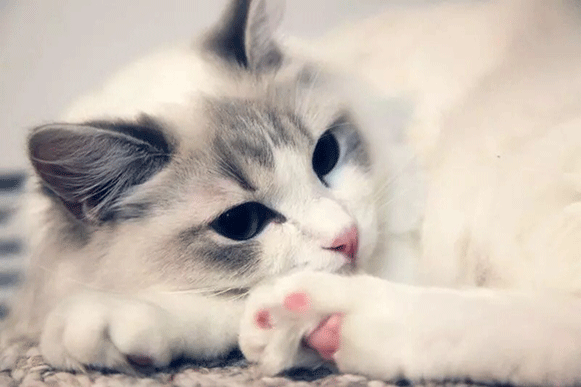 1519812335531656.gif fgdhrtf.gif