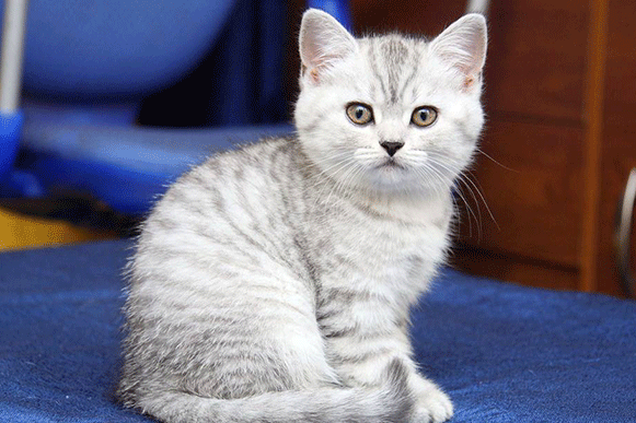 1520415324190995.gif polkjh.gif