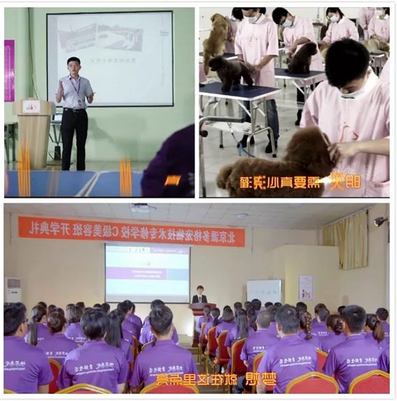 1547091151884002.jpg 微信图片_20190110112942.jpg