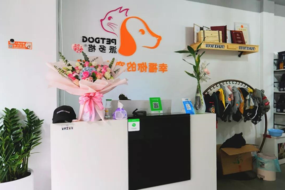 派多格宠物加盟店怎么样? 派多格宠物加盟店怎么样?