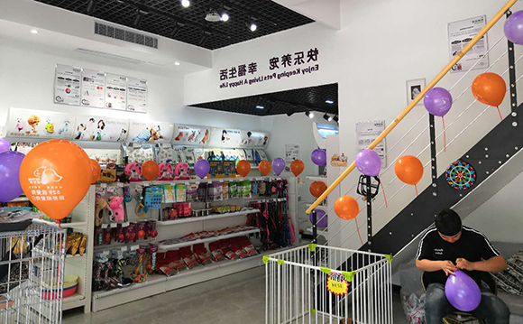 在武汉开一家派多格宠物店怎么样? 在武汉开一家派多格宠物店怎么样?